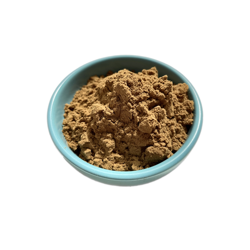Black Pepper Extract Supplement